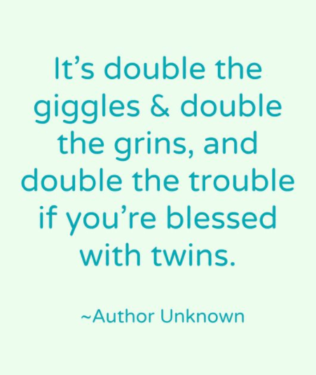 Twin Quotes